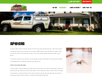 Spiders | Frogg's Pest Control