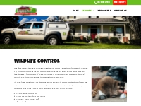 Wildlife Control | Frogg's Pest Control