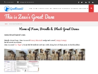 This is Zeus s Great Dane   Great Danes Fawn Brindle AKC Color-Pure Pu