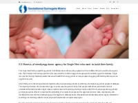 Egg Donors Single Men