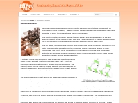   HiPet USA, medicinal mushroom beta glucan for pets |   Mushroom Scie