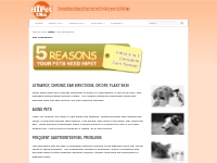  HiPet USA, medicinal mushroom beta glucan for pets |   Got Problems?