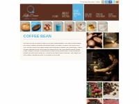 Coffee Bean | Kopi Luwak‏‏ | Hong Kong | Holly Brown | Holly Brown Cof