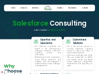 salesforce consultant services