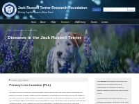Diseases in the Jack Russell Terrier - Jack Russell Terrier Research F
