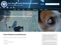 Vision-Related Issues/Diseases - Jack Russell Terrier Research Foundat
