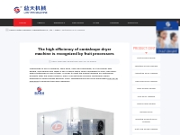 The high efficiency of cantaloupe dryer machine is recognized by fruit
