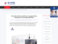 Cucumber dryer machine is recognized by customers for its high efficie