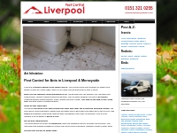 Pest Control Ants Liverpool Pest Control Service