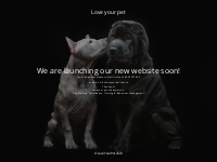 New Love Your Pet Site Launching Soon!