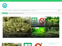 Marijuana News in Culver City | Weed Latest News | Marijuana Delivery 