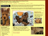 Maybush Australian Terriers - Nova Scotia breeder of Aussie terriers