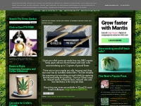 Mr. Stinky's Green Garden: Stoner Gift Ideas Under $20 Ginzis Activate