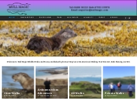 Wildlife walks and walking tours on the Isle of Mull, Iona and Ulva, S