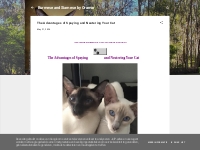 Burmese and Siamese by Oramor: The Advantages of Spaying and Neutering