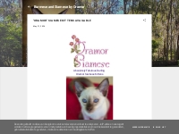 Burmese and Siamese by Oramor:  ORAMOR  SIAMESE KITTENS AVAILABLE