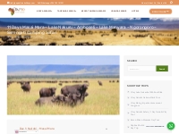 11 Days Masai Mara - Lake Nakuru - Amboseli - Lake Manyara - Ngorongor