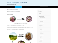 Yield calculation for potato seeds