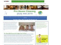 Maid Service | House Cleaning Services | Green Cleaning | Cleaning Ser
