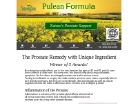 Pulean Formula for Relief of Prostatitis and BPH