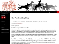 Our Purebred Dog Blog | For the Love of Purebred Dogs