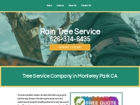 Tree Company | Tree Specialist | Monterey Park CA