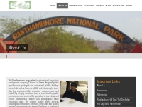 About Ranthambore Jeep Safari - Ranthambore National park Rajasthan In