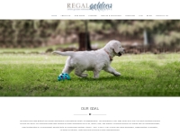 Regalgoldens - Registered Breeder of English Style Golden Retrievers -