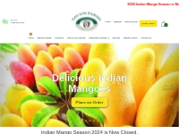 Buy Indian Mangoes Online | Queen Kesar Mango | Gift Mango USA-Savanif