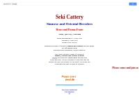 Siamese and Orientals cats and Kittens at Seki Cattery, Adare, Qld 434