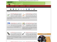search engine optimization - internet marketing - webmaster tools