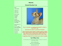 Sharbo Oriental Shorthair Cats Home