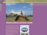 Shefaro Borzoi and Boer Goats - Livestock Guardians, NGA/AKC Field Tri