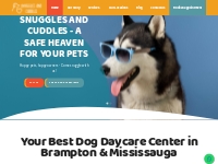 Dog Daycare Center Brampton & Mississauga | Snuggles and Cuddles