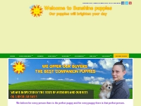   	Puppies and dogs for sale in Missouri  Welcome To Sunshine Puppies