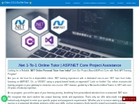 Online 1-To-1 Tutor on ASP.Net, C#, VB.net, C++, Java, SQL | Project H