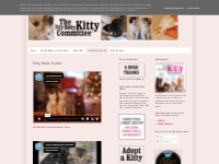 The Itty Bitty Kitty Committee: Kitty Movie Archive