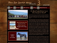 Three Bar Quarter Horses | Home
