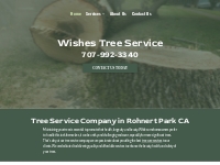 Tree Company | Tree Specialist | Arborist | Rohnert Park CA