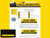 Whitelist email marketing is simple, safe and successful email marketi