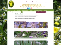 Wildflower Seeds, Wildflowers UK