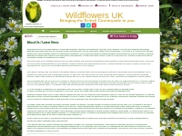 wildflowersuk.com: about us and news articles