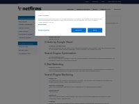 Web Hosting by Netfirms - Marketing Services