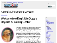  			Welcome to A Dog's Life Doggie Daycare   Training Center