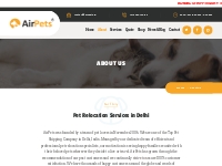 About Us | AirPets India