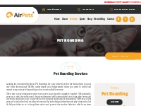 Pet Boarding Services | Best Dog or Cat Boarding in Delhi | AirPets In