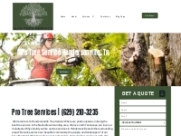 AJ s Tree Service Hendersonville, TN | (629) 210-3235