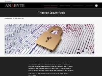 IT Network Security Audit - Anabyte Technology