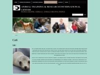 Cali   Animal Training   Research International Center