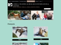 Pinnipeds   Animal Training   Research International Center